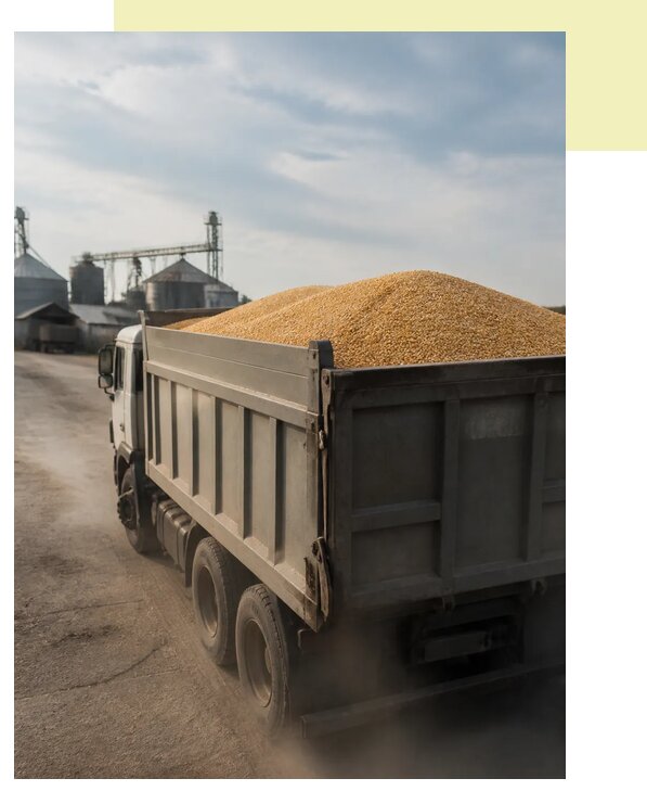 Перевозка сельхозпродукции навалом в Зеленодольск по цене от 3105 р. | Агросервис-Злн
